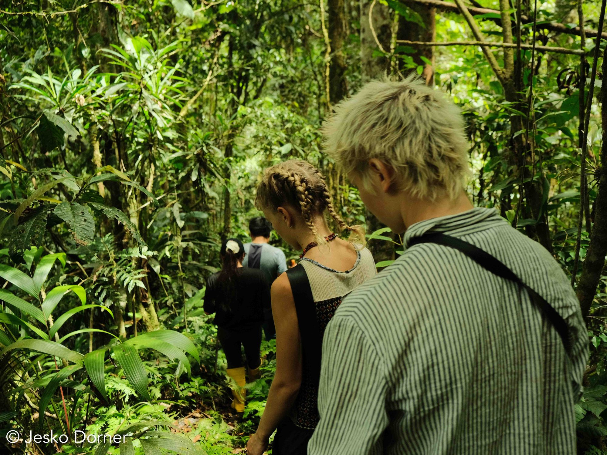 Visitantes caminando con un guía por la selva