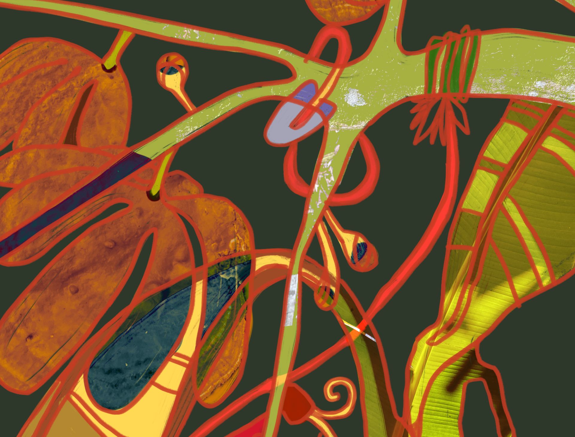 Ilustración de plantas de la selva amazónica
