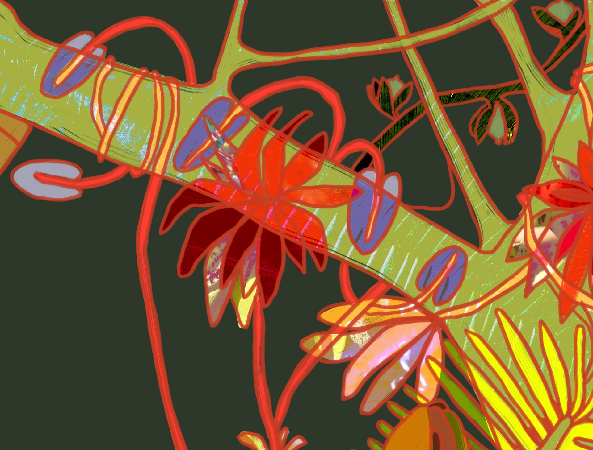 Ilustración de plantas de la selva amazónica
